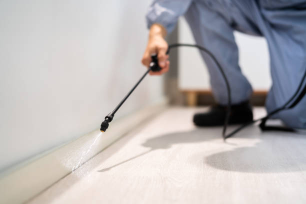 Licensed Mosquito Control service in Smithfield, UT - Nex Pest Control