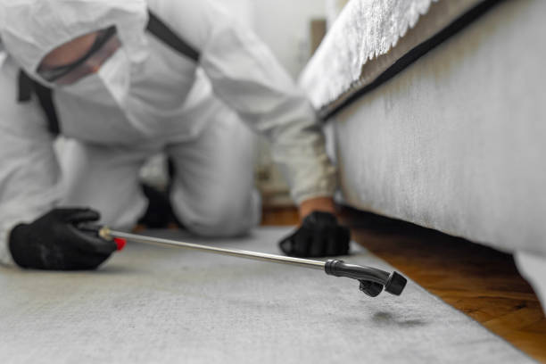 Professional Mosquito Control technician working in Smithfield, UT