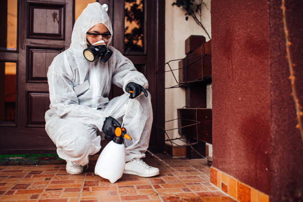 Reliable Mosquito Control contractor in Smithfield, UT by Nex Pest Control