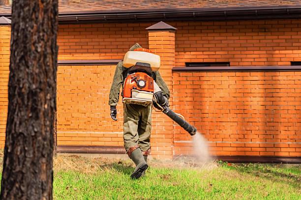 Top rated local Mosquito Control specialists in Smithfield, UT